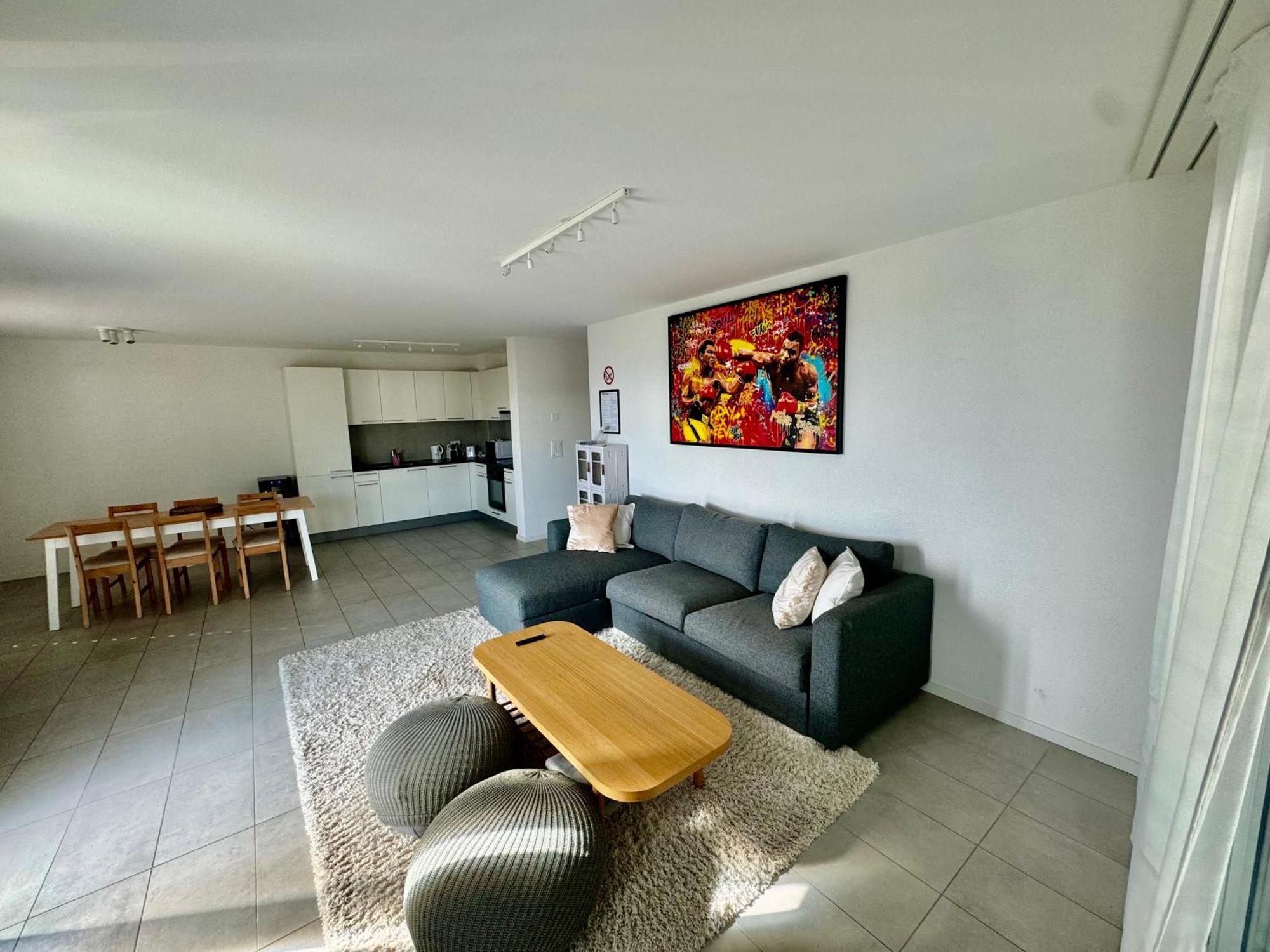 Great In Apartment Lausanne