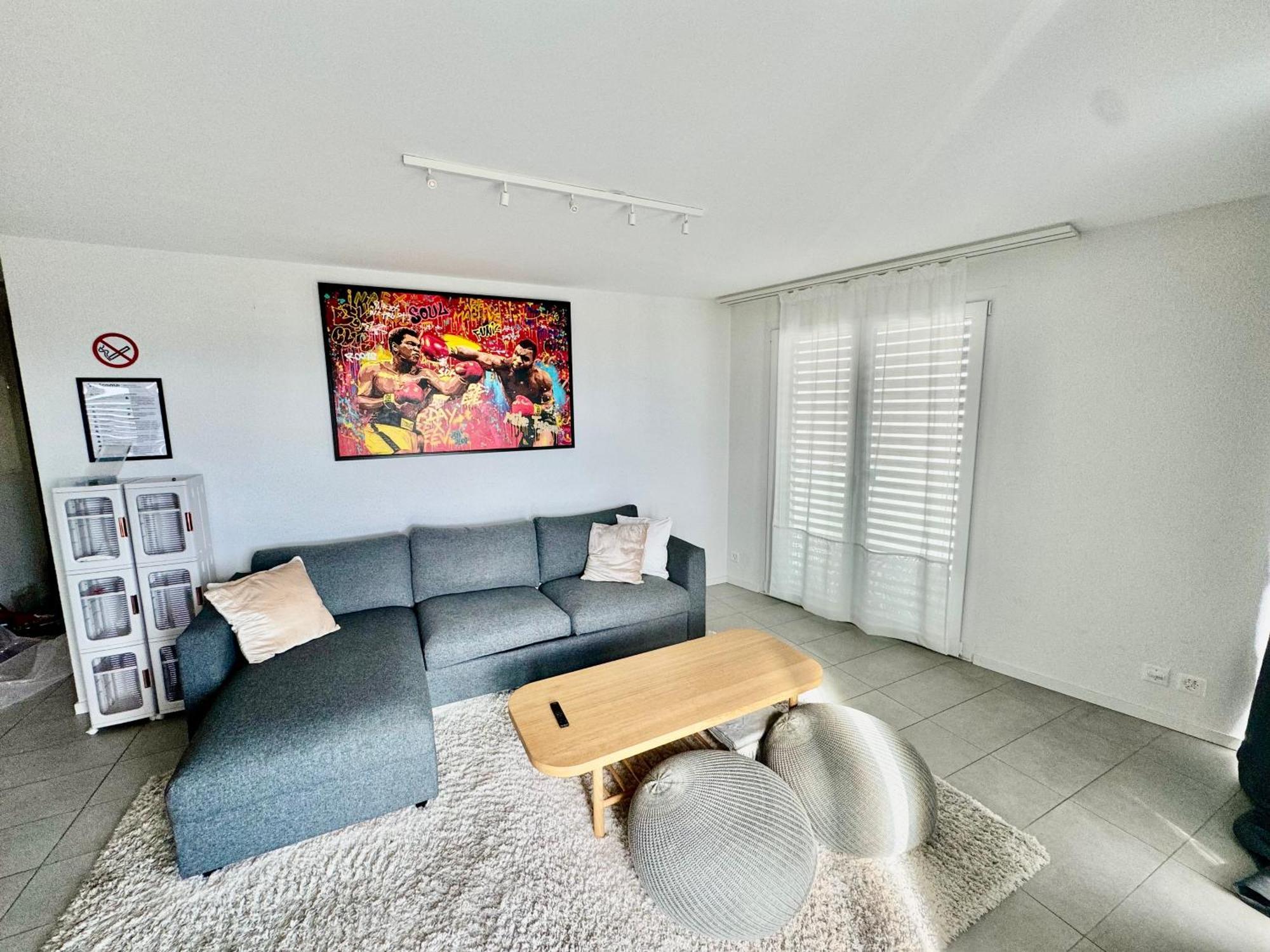 Great In Apartment Lausanne